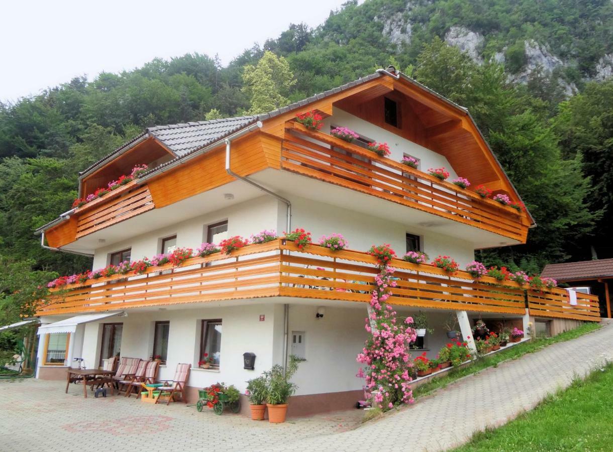 Fine Stay Apartments Zirovnica Exterior foto